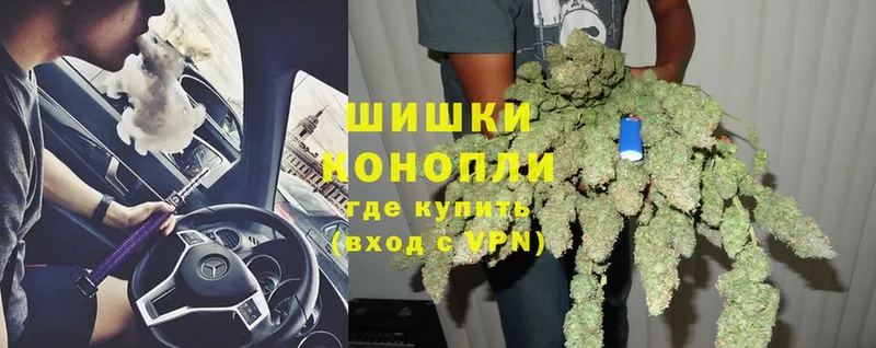 Канабис OG Kush  Костерёво 